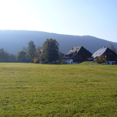 Hermeshof Und Biohaus Titisee-Neustadt Eksteriør bilde