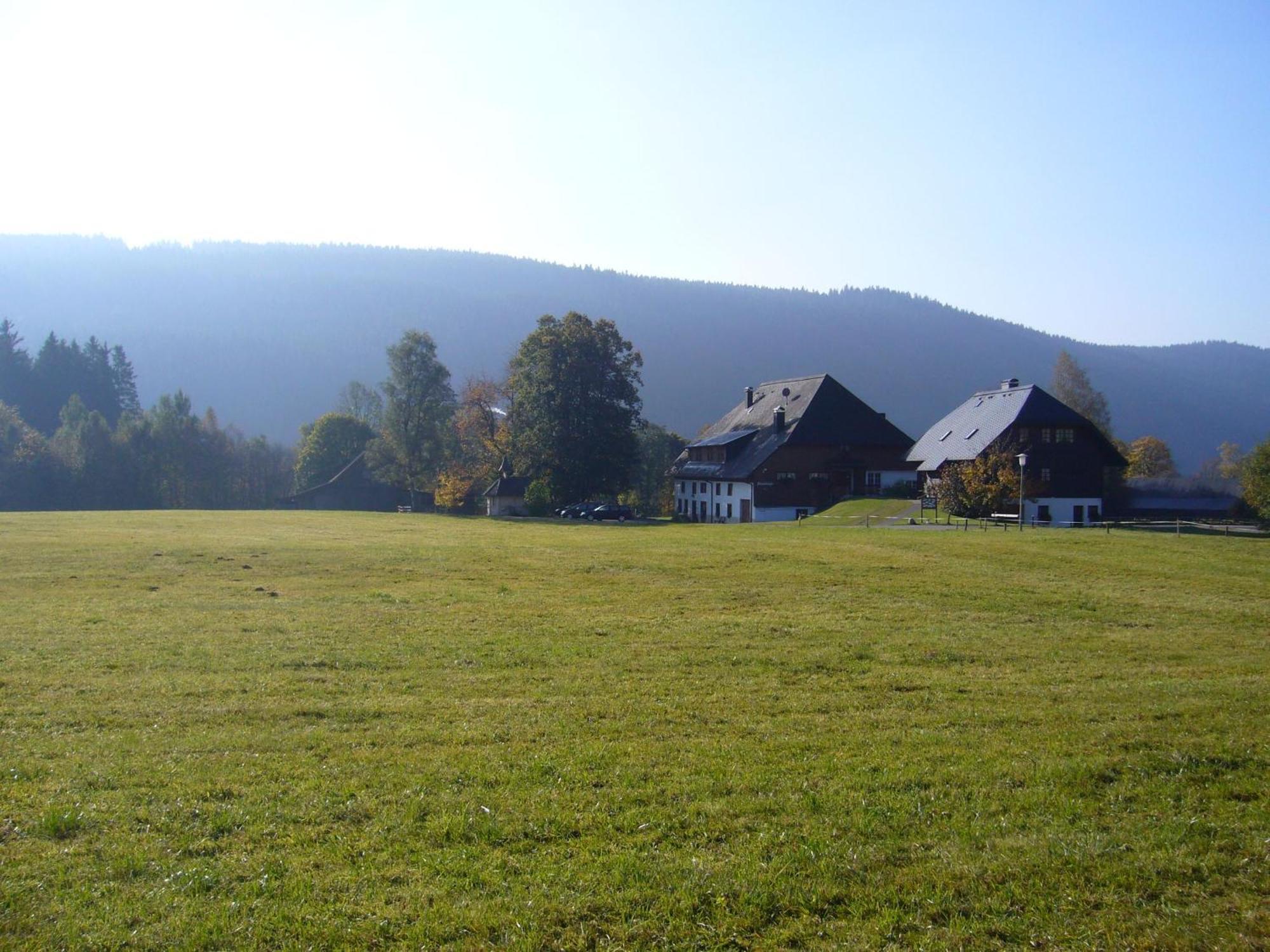 Hermeshof Und Biohaus Titisee-Neustadt Eksteriør bilde